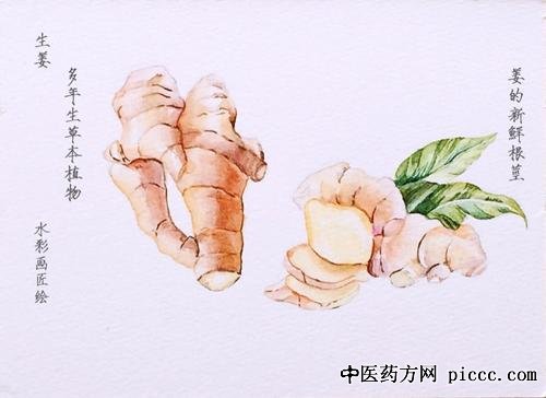 养生堂20210328:贺娟,生姜去湿气,生姜的养生智慧,生姜治口干口渴