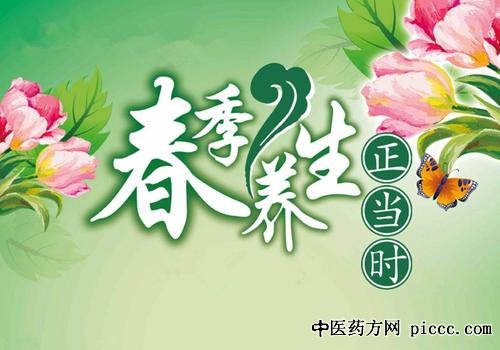 健康之路20210419:鲁艺,春日小菜巧养生,春季养生,补阳气升阳气