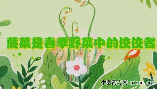 健康之路20210422:蕨菜,巧用蕨菜拌凉菜,芦蒿,芦蒿蛋饼,马齿苋