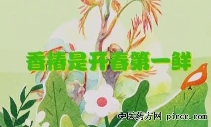 健康之路20210423:张晔,吃野菜还能养生,野菜中含有很多养分物质