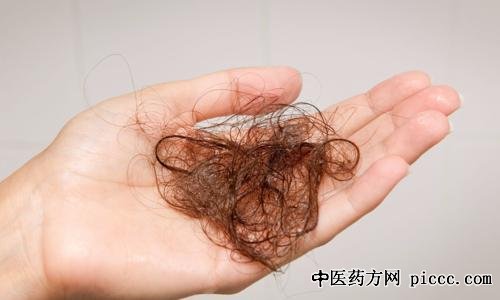 健康之路20210528:章星琪,为什么会掉发,脱发的原因与雄秃治疗