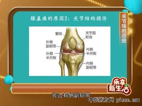 健康之路20210604:张博,膝关节骨性关节炎,膝关节灵敏度自测