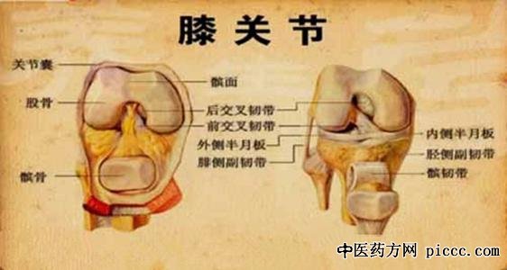 �ԕF��,����ϥ�ؽ�,��Щ�˶�����ʱ�辯��