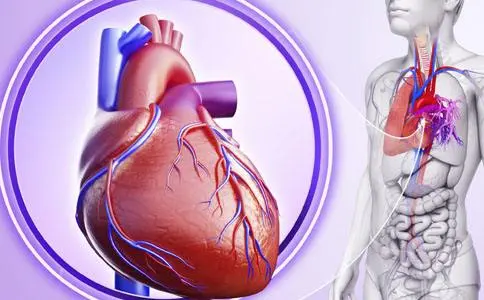 养生堂20210626:黄丽娟,尚菊菊,防治心衰的4个法则,药膳防心衰