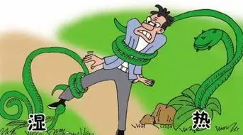 养生堂20210630:张耀圣,下焦湿热,中医经典名方八正散