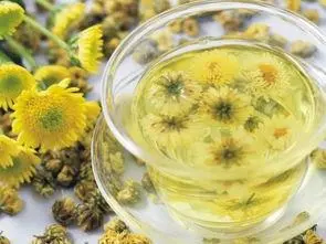 健康之路20210702:菊花真的能明目?紫苏能治感冒?黄连能够去火?