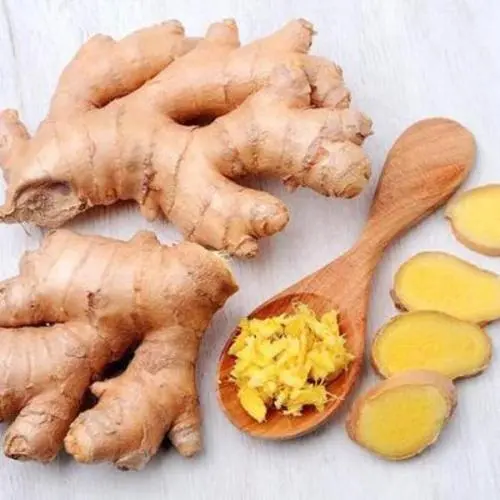 健康之路20210714:莱芜生姜,夏天吃姜有哪些讲究,甘草干姜汤,黄姜