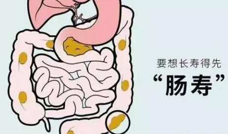 健康之路20210725:史文丽,燕麦,如何吃出肠道健康,冷藏酸奶