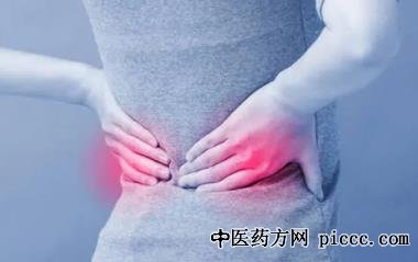 单味药治疗肾病的常用方法