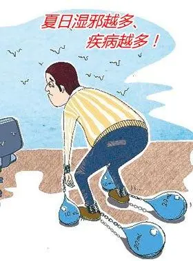 养生堂20210812:姜泉,祛湿方法远离湿邪,暑热,祛湿,利湿清热