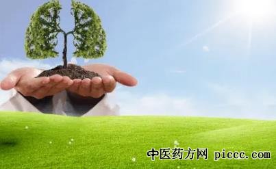 养生堂20210820:哈刚,活百岁离不开的方法,陈彤云,守护人体防线