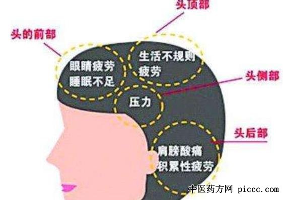 养生堂20210823:李光熙,补肾就差这一步,白发生长位置与健康相关