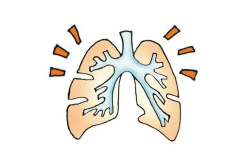 养生堂20210825:马少华,金亮,肺癌晚期,骨脑转移,肺癌如何预防