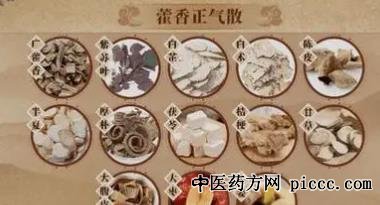 健康之路20210829:胡世云,木香治厌食,腹泻用藿香,胃痛用檀香