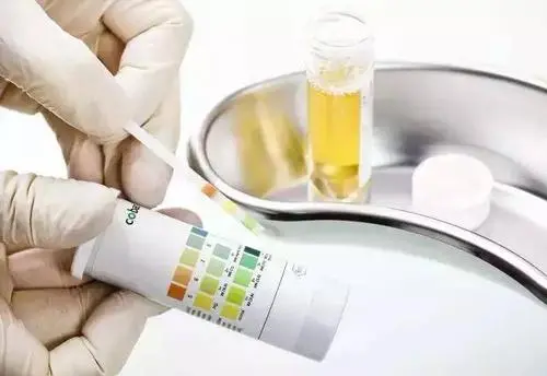 养生堂20210911:高瞻,肾虚,肉苁蓉,湿重于热的特点,肾阴虚,祛湿