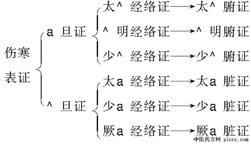 二旦六经辨证体系