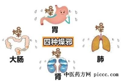 “肾燥”治法初探