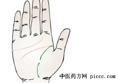 养生堂20211020:张黎,手掌上生命线的秘密,大鱼际,小鱼际