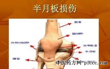健康之路20211031:张辉,什么是半月板,半月板,别毁了膝盖保护垫