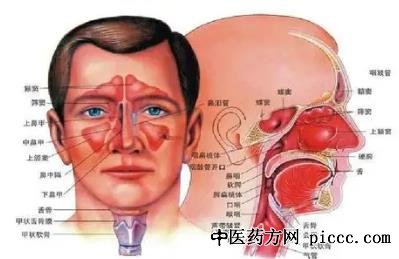 健康之路20211102:娄鸿飞,鼻窦炎,慢性鼻窦炎风险测试与治疗
