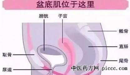 健康之路20211110:卢丹,尿失禁的原因与改善方法,盆底肌下垂