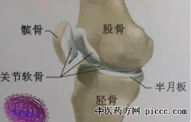 养生堂20211110:王健全,髌骨软化症,膝关节痛,梅宇,髋关节训练