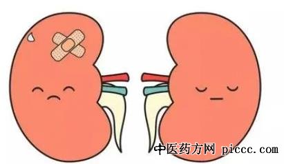 养生堂20211123:吴杰,肾脏疾病,急性肾损伤,肾小球组织纤维化