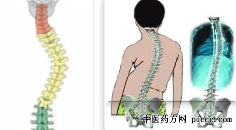 ½¡¿µÖ®Â·20211206:³ÊÀ±£,ÈÏʶÀÏÈ˼¹Öù²àÍä,ÍäÑüÍÕ±³Í´¿àÄÑÈÌ