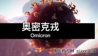 奥密克戎,新冠变异毒株奥密克戎