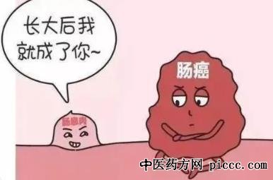 健康之路20220110:大肠癌如何早发现,贫血与大肠癌的关系,胰腺炎