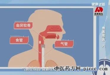 健康之路20220111:食物阻塞气道,哪些危机正在剥夺你的呼吸权利