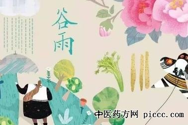 健康之路20220207:谷雨节气养生,谷雨茶吃香椿,谷雨前后的茶养生