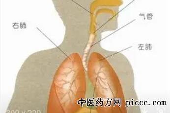 养生堂20220228:董国菊,气短,辨别气短与真气短的差别,憋闷