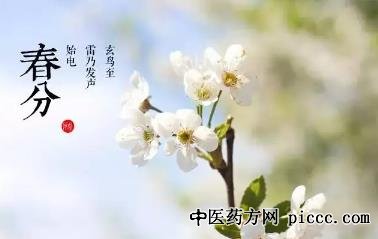 李海霞,春季按时扶阳,扶阳饮,扶阳第一法桂枝法