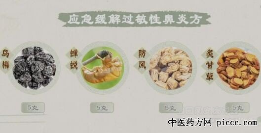 过敏性鼻炎应急方