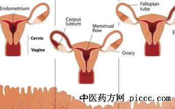 健康之路20220329:护好女性,陈晨讲子宫肌瘤,宫颈糜烂,卵巢囊肿
