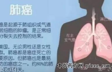 健康之路20220418:肺癌的防治,黄云超,肺癌的发病率和死亡率
