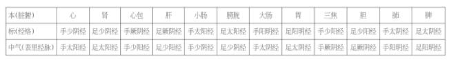 脏腑应天标本中气关系表