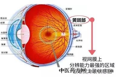 养生堂20220606:护好眼睛,糖尿病和高血压是如何伤害眼睛黄斑区的
