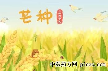 芒种节气养生之道