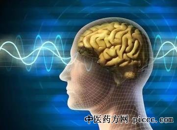 健康之路20220620:对抗大脑衰老,宋海庆,预防超龄老化,大脑健康