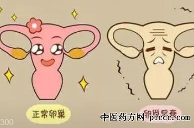 ½¡¿µÖ®Â·20220711:¶Î»ª,Âѳ²ÔçË¥,Âѳ²ÄÒÖ×,¶àÄÒÂѳ²,ÇÉ¿ËÁ¦ÄÒÖ×