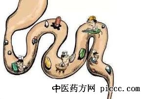 健康之路20220725:李玥,保养肠道,肠道常见问题,菌群失衡,肠息肉