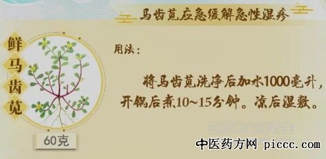 马齿苋缓解湿疹