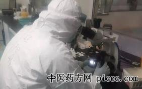 养生堂20220816:汪欣,逆行肿瘤,结直肠癌,长肿瘤预警信号