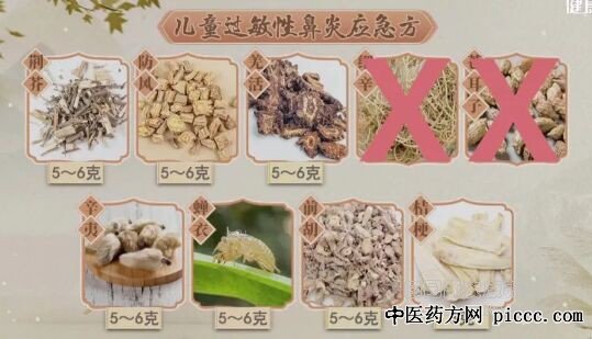 儿童过敏性鼻炎应急方