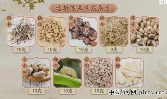 过敏性鼻炎应急方