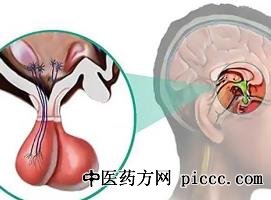 健康之路20221026:陈革,脑垂体肿瘤会影响孩子长个,年轻女性闭经