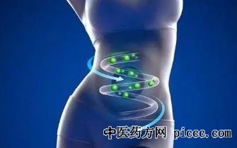 养生堂20221101:陈杰,脏器乾坤大挪移,饱胀感,肠子移位,钟朝辉