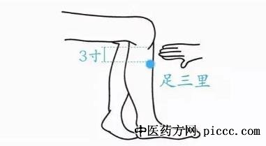 长寿之穴足三里穴
